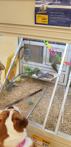 Pet Supply Store «PetSmart», reviews and photos, 11331 Causeway Blvd, Brandon, FL 33511, USA