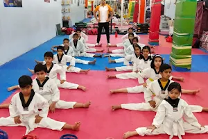 Pro Star Boxing Taekwondo Sports Academy image