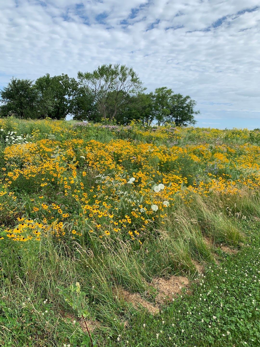 Orland Grasslands South Parking