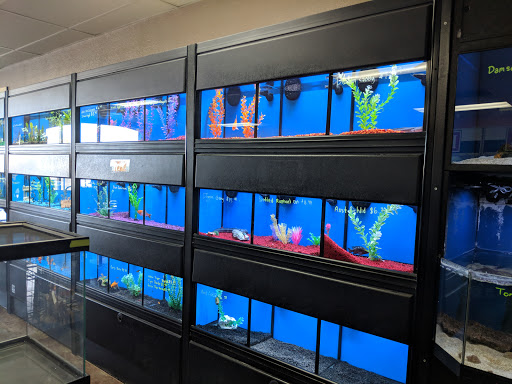 Pet Store «Wildside Pets», reviews and photos, 1042 N Higley Rd #105, Mesa, AZ 85205, USA