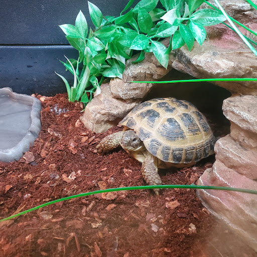 Pet Supply Store «PetSmart», reviews and photos, 6370 North Point Pkwy, Alpharetta, GA 30022, USA