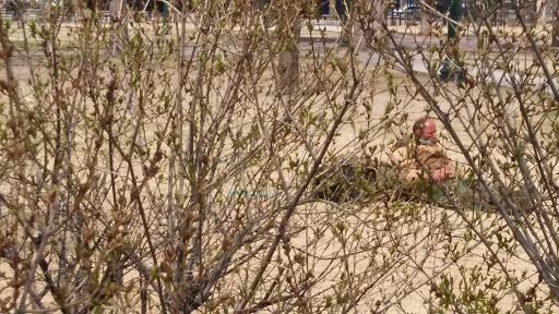 Park «Acacia Park», reviews and photos, 115 E Platte Ave, Colorado Springs, CO 80903, USA