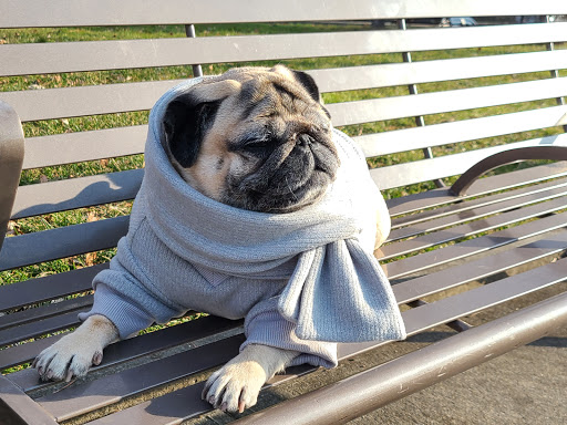 Park «Elmhurst Park», reviews and photos, 57th Ave & Grand avenue, Queens, NY 11373, USA