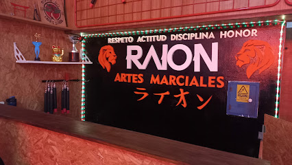 RAION ARTES MARCIALES taekwondo / krav maga