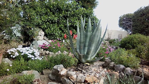 Photo 2 - Garage des Corbières