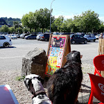 Photo n° 1 de l'avis de Marion.o fait le 02/06/2018 à 17:27 pour Parking VL payant Bassin du Centre à Honfleur