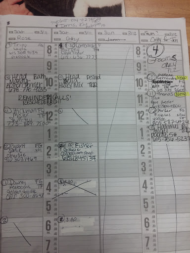 Pet Supply Store «Ma & Paws Pet Supplies», reviews and photos, 206 Anderson Ln N #200, Hendersonville, TN 37075, USA