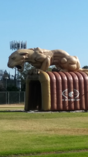 PC Medics 911, 17533 Chatsworth St, Granada Hills, CA 91344, USA, 