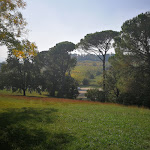 Photo n°2 de l'avis de Francesca.l fait le 16/10/2018 à 20:11 sur le  Chiosco Dolce Vita à Imola