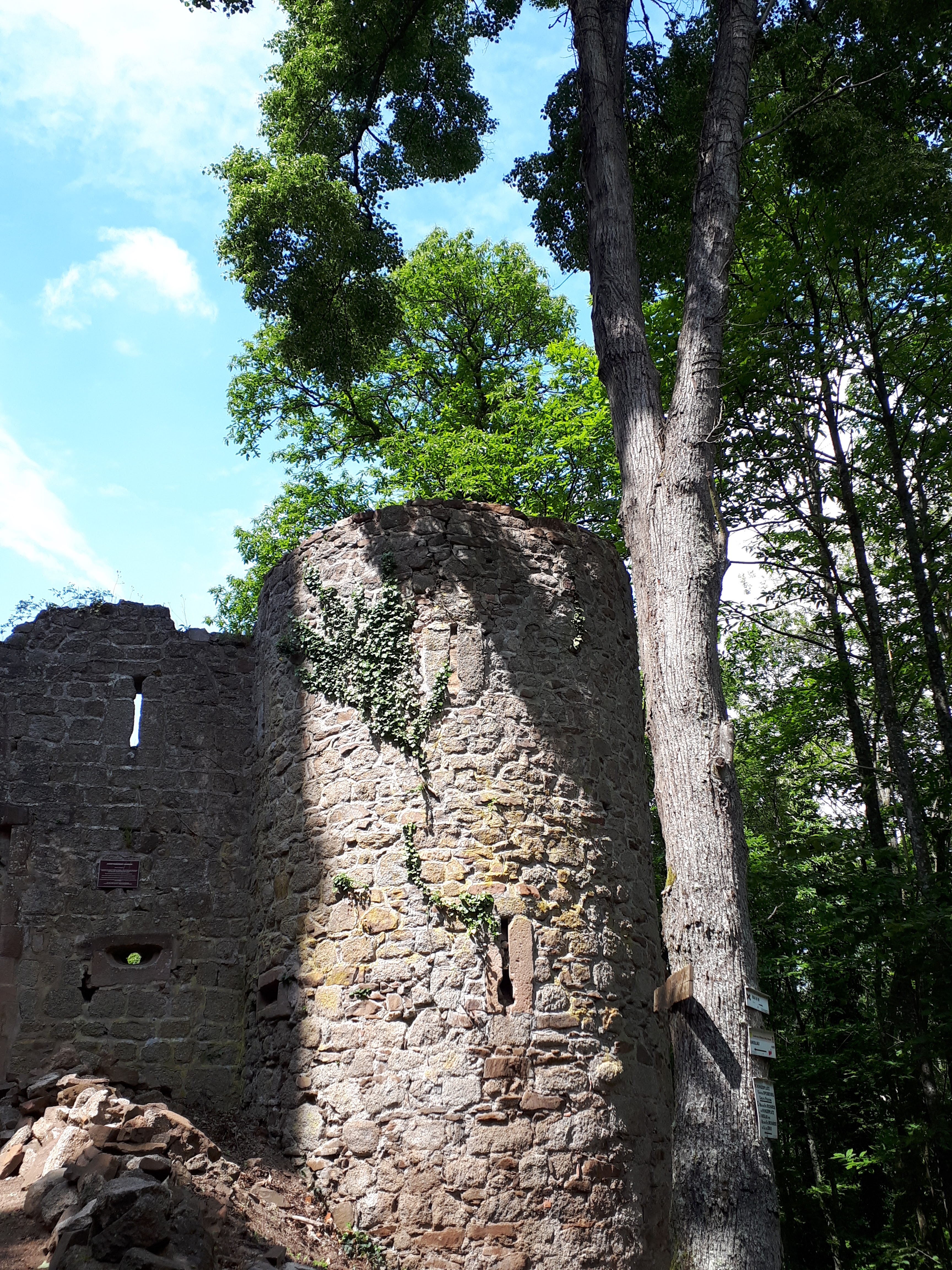 Photo n° 4 de l'avis de Nathalie.o fait le 20/05/2018 à 17:47