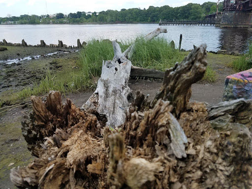 Gourmet Grocery Store «Eastside Marketplace», reviews and photos, 165 Pitman St, Providence, RI 02906, USA