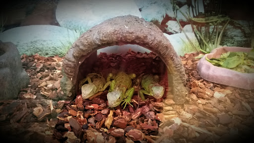 Pet Supply Store «Petco Animal Supplies», reviews and photos, 5631 Grove Blvd, Hoover, AL 35226, USA