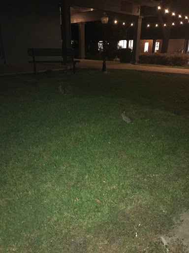 Coffee Shop «Epoch Coffee at the Village», reviews and photos, 2700 W Anderson Ln #409, Austin, TX 78757, USA