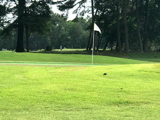 Golf Course «Mill Quarter Plantation Golf Course», reviews and photos, 1525 Mill Quarter Rd, Powhatan, VA 23139, USA