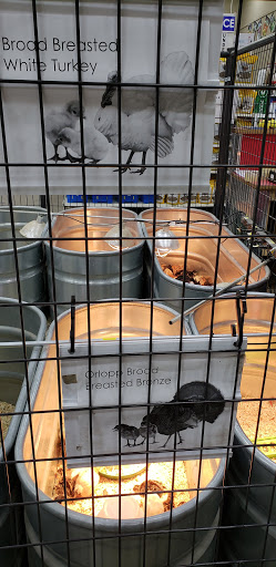 Department Store «Rural King», reviews and photos, 230 Central Pkwy, Heath, OH 43056, USA