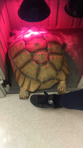 Pet Store «Petland», reviews and photos, 4082 William Penn Hwy #49B, Monroeville, PA 15146, USA