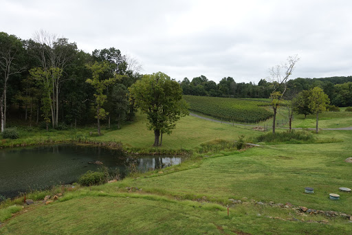 Winery «Casanel Vineyards», reviews and photos, 17956 Canby Rd, Leesburg, VA 20175, USA