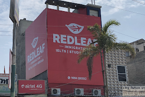 RedLeaf Immigration Faridkot image