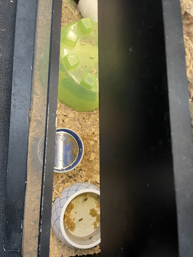 Pet Supply Store «Pet Supplies Plus», reviews and photos, 1510 Scranton Carbondale Hwy, Scranton, PA 18508, USA