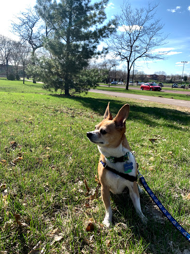 Dog Park «St. Anthony Parkway Off-Lease Dog Park», reviews and photos, 700 St Anthony Pkwy, Minneapolis, MN 55418, USA