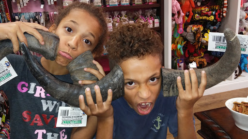 Pet Store «Woof Gang Bakery & Grooming Palm Beach Gardens», reviews and photos, 6231 PGA Boulevard #114, Palm Beach Gardens, FL 33418, USA