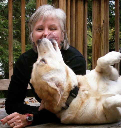 Denise Mazzola's Everything Dog