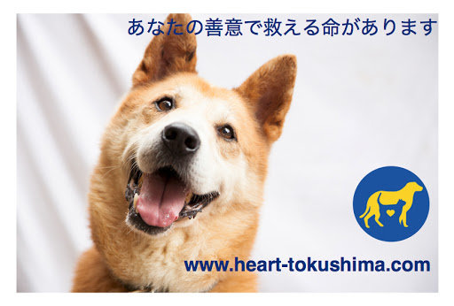 Heart Tokushima