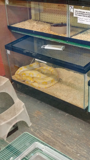 Pond Fish Supplier «Aquarium & Imports Inc.», reviews and photos, 2639 Hendersonville Rd, Arden, NC 28704, USA