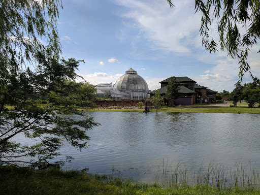 Tourist Attraction «Anna Scripps Whitcomb Conservatory», reviews and photos, 900 Inselruhe Ave, Detroit, MI 48207, USA