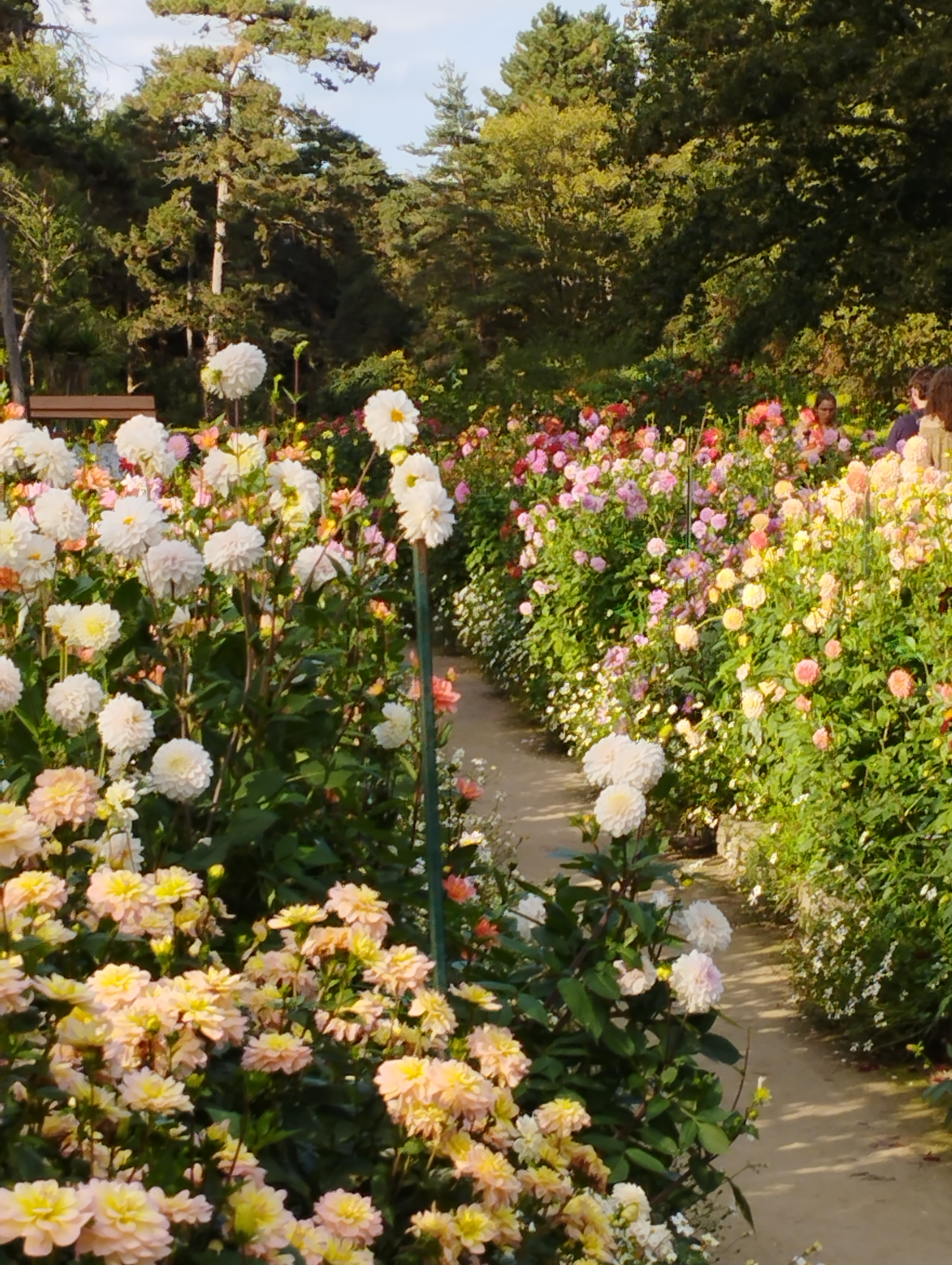 Photo n° 3 de l'avis de Muriel.a fait le 17/09/2021 à 23:41