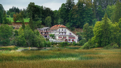 Hôtel des Sapins et du Lac à Oye-et-Pallet