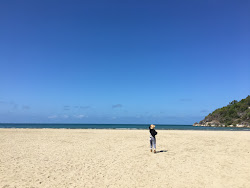 Photo de Finch Bay Beach avec un niveau de propreté de très propre