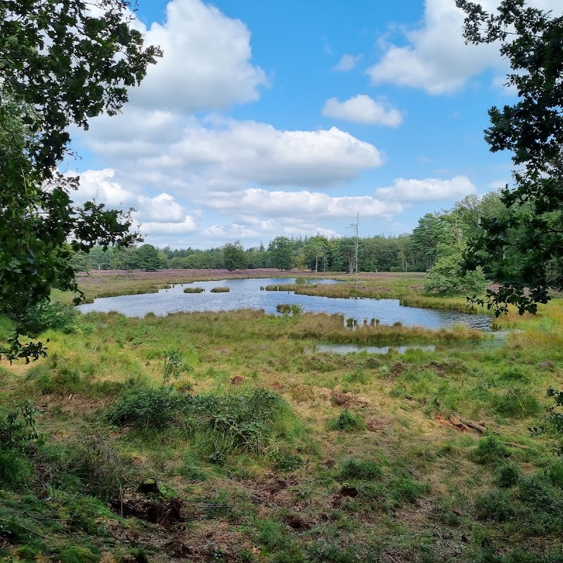 Henschoten