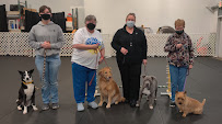 Paws 'N Effect Canine Training Center - Photo 3 - Car repair in Hamden, CT, New Haven