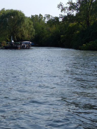 Park «Paulus Park», reviews and photos, 200 S Rand Rd, Lake Zurich, IL 60047, USA