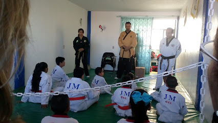 Instituto Juventud Marcial México Misiones