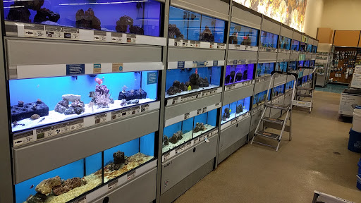 Pet Supply Store «Petco Animal Supplies», reviews and photos, 43465 Ford Rd, Canton, MI 48187, USA