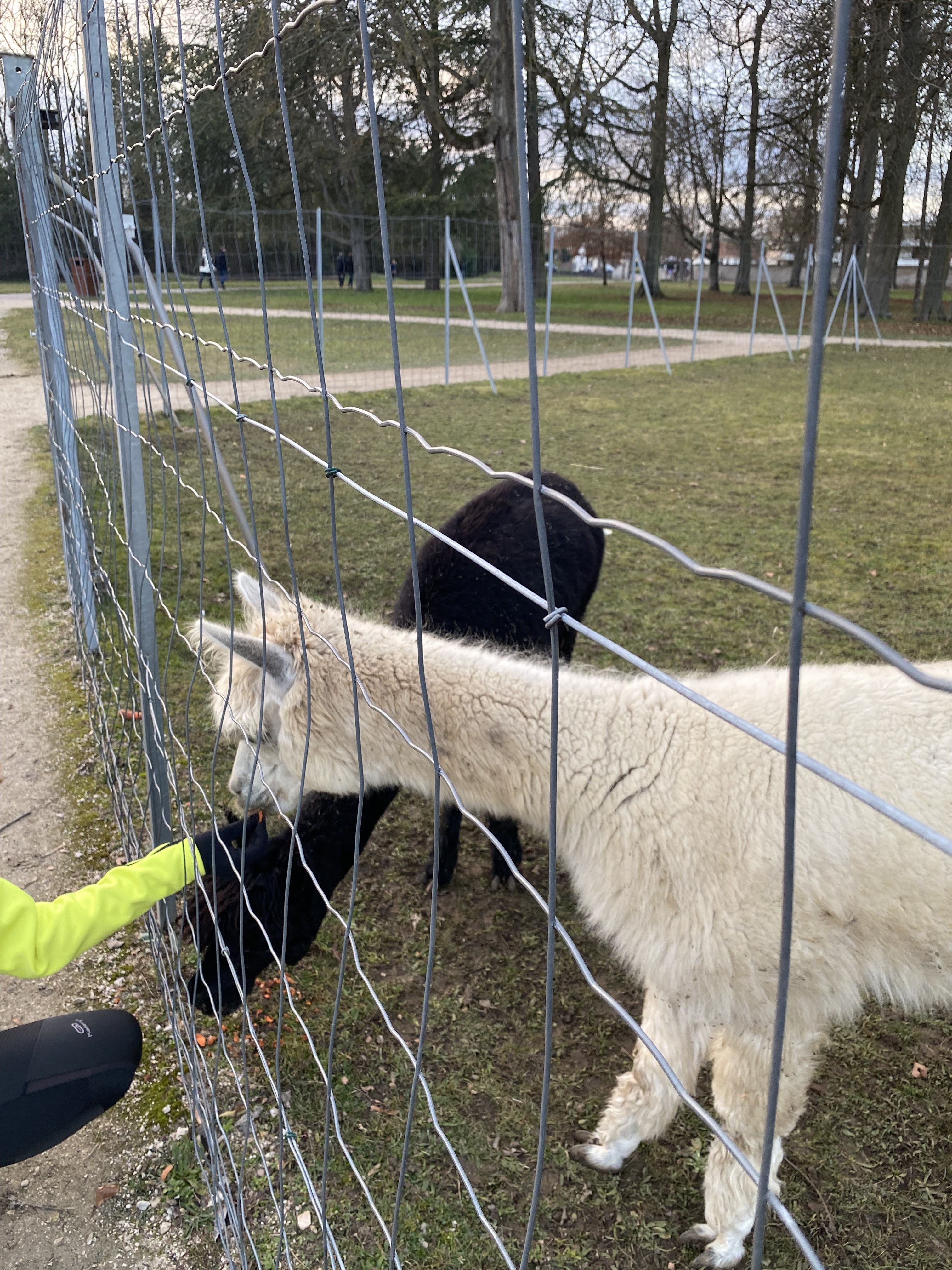 Photo n° 1 de l'avis de Kang.s fait le 25/01/2022 à 21:54