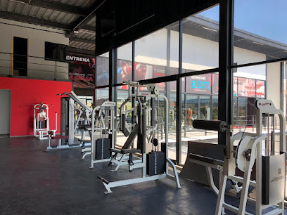 IRON GYM REAL SOLARE