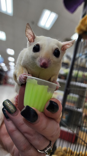 Pet Groomer «Pet World», reviews and photos, 4033 W Mercury Blvd, Hampton, VA 23666, USA