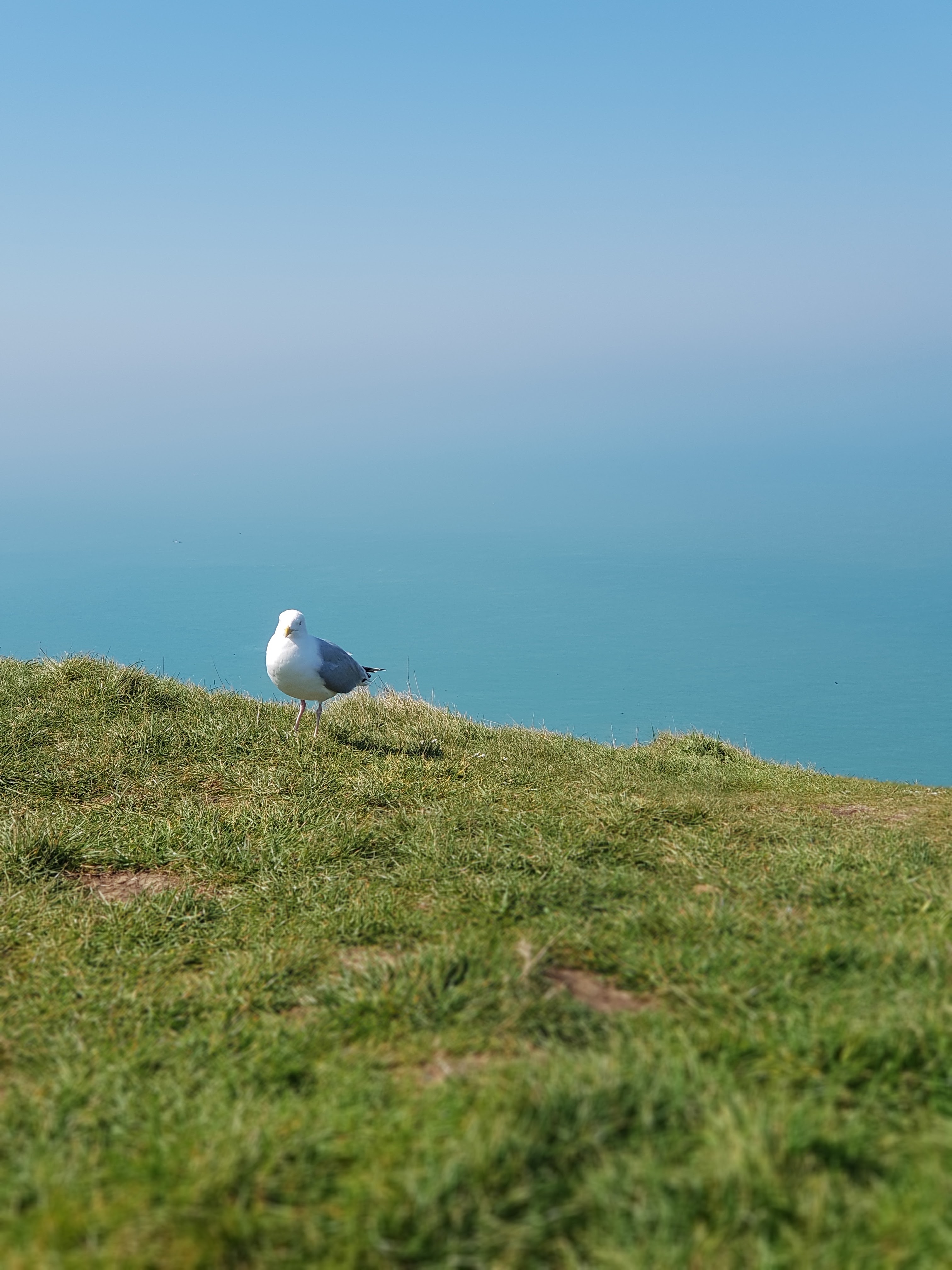 Photo n° 4 de l'avis de Anthony.. fait le 06/05/2019 à 19:52