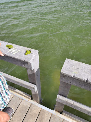 Park «Quail Lake Park», reviews and photos, 915 E Cheyenne Mountain Blvd, Colorado Springs, CO 80906, USA