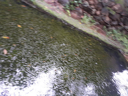 Kallada Irrigation Project Canal
