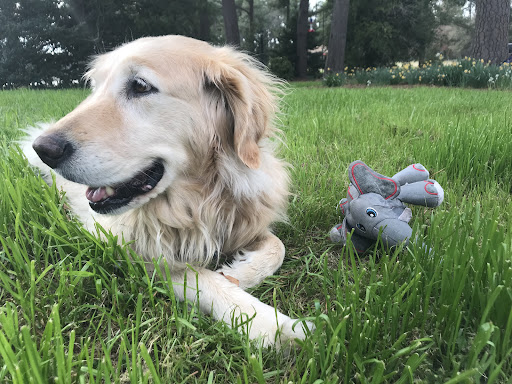 Churchland Animal Clinic image