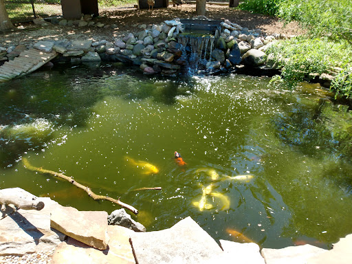 Zoo «Miller Park Zoo», reviews and photos, 1020 S Morris Ave, Bloomington, IL 61701, USA