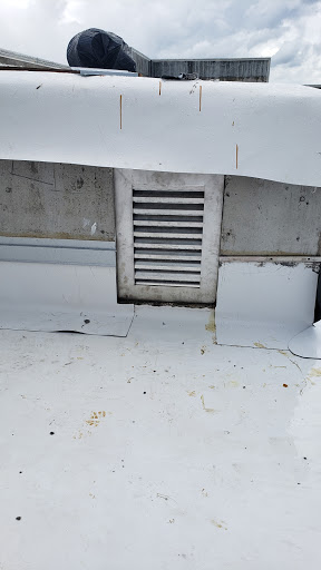 Auto Parts Store «NAPA Auto Parts - JM Auto Parte Enterprises Inc», reviews and photos, 4020 SW 64th Ave, Davie, FL 33314, USA