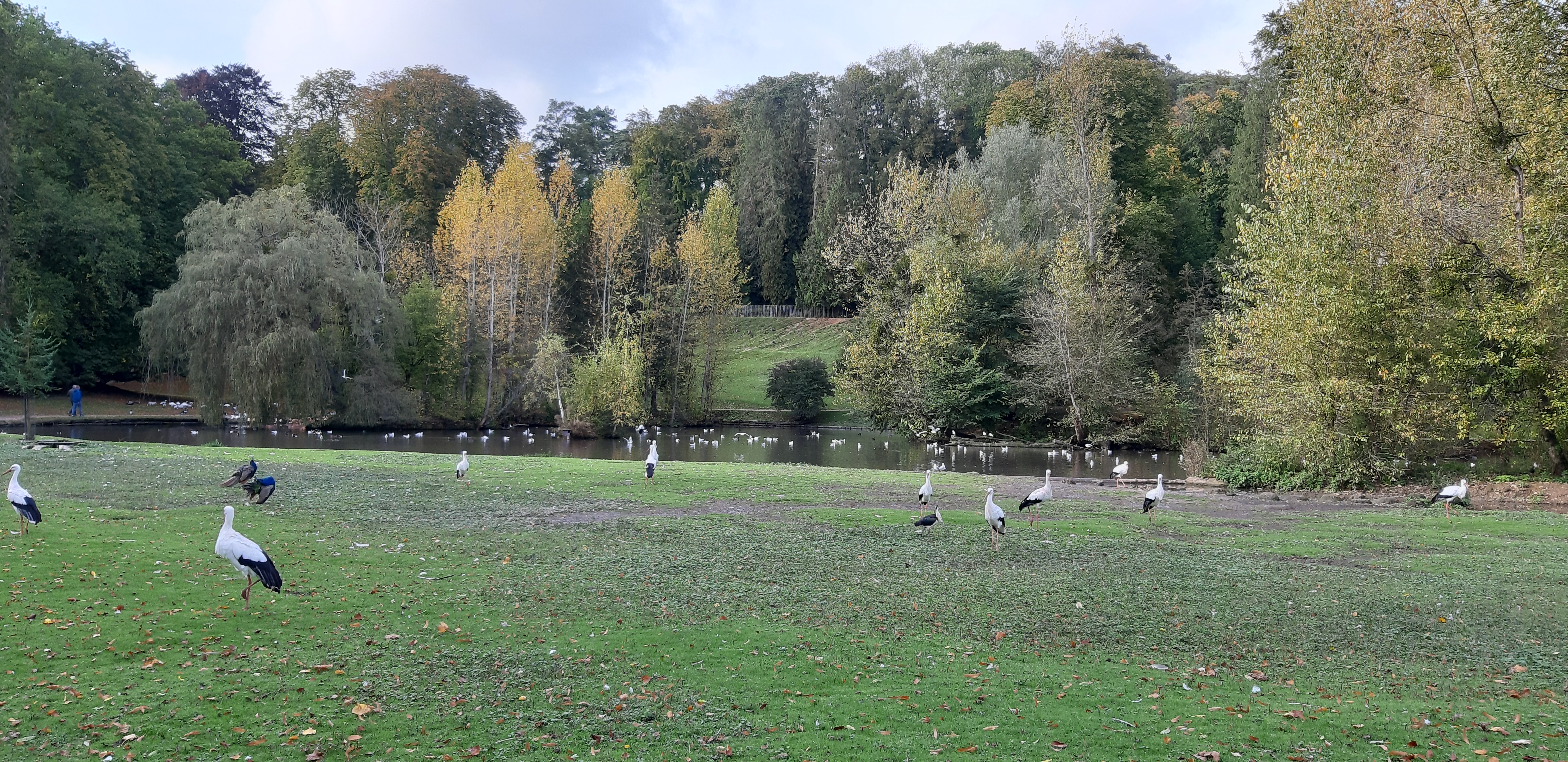 Photo n° 1 de l'avis de Nathalie.l fait le 20/10/2019 à 14:59