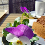 Photo n°2 de l'avis de Markus.a fait le 15/03/2022 à 07:06 sur le  Dom-Cafe Inh. Sarah Dreier à Meldorf