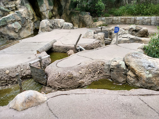 Natural History Museum «Fernbank Museum of Natural History», reviews and photos, 767 Clifton Rd, Atlanta, GA 30307, USA