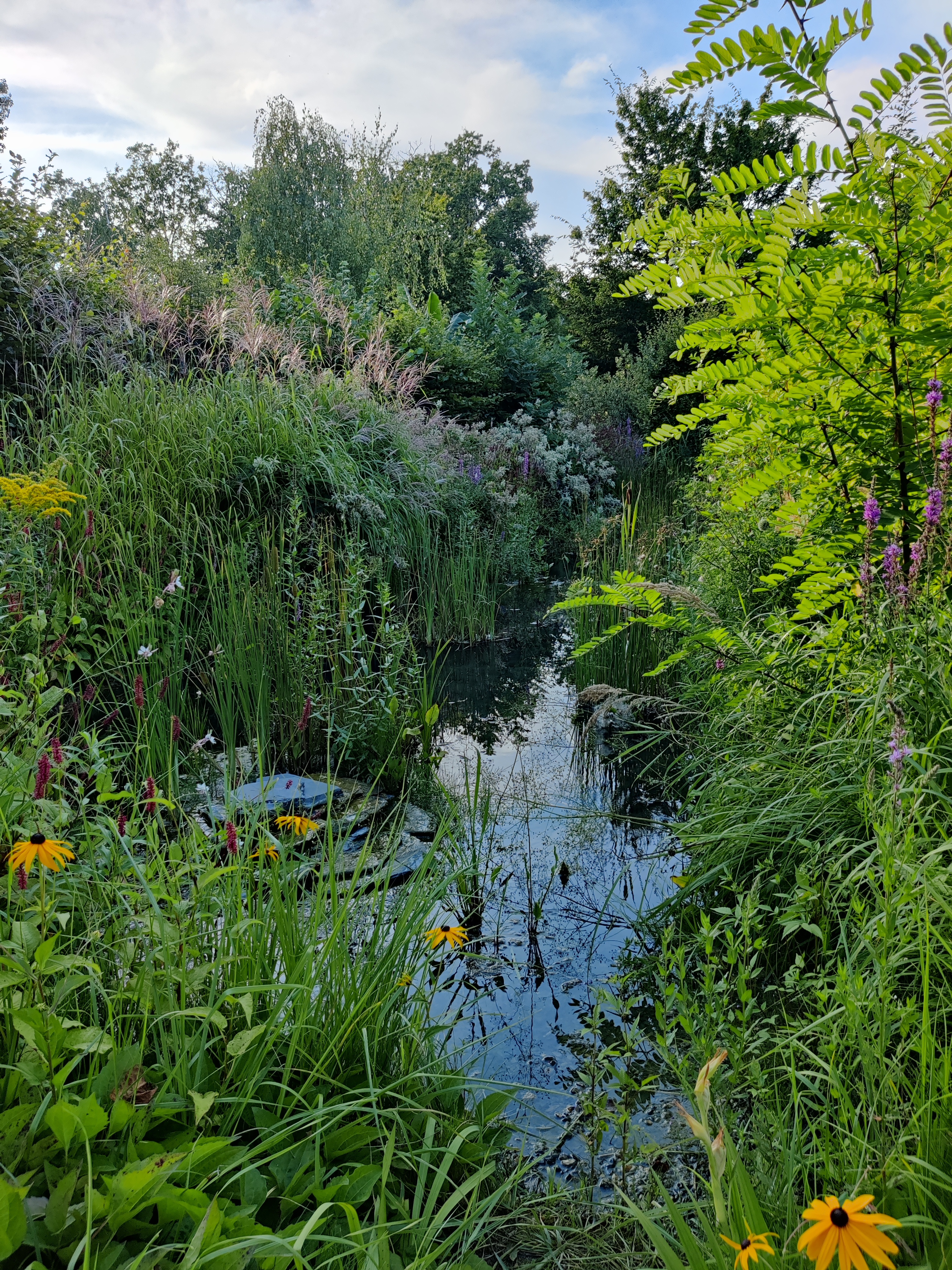 Photo n° 19 de l'avis de Alexandre.o fait le 11/08/2021 à 19:07